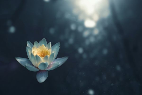 MBSR: Mindfulness Based Stress Reduction Program
