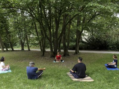 Meditation Courses