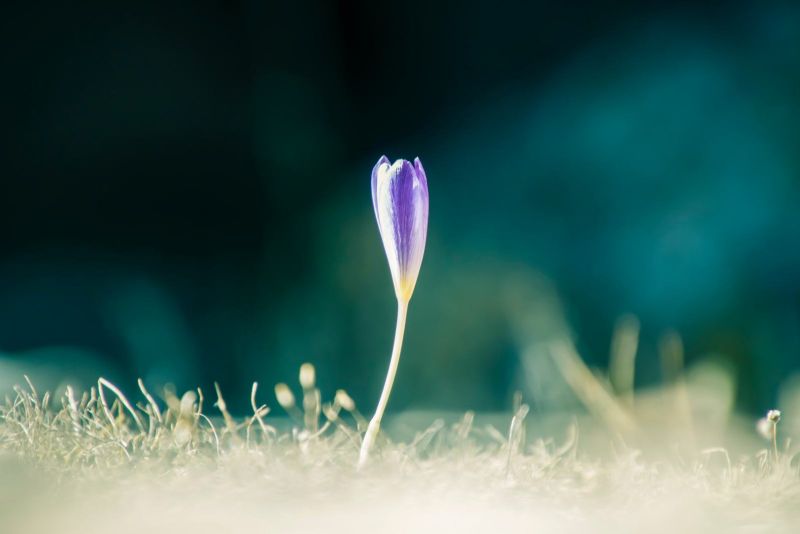Heartful Contemplation of the Week
