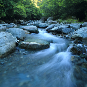 Being (like) Water, Staying in Movement